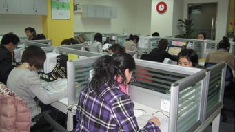 新易太和 北京新易太和教育咨询有限公司的专业教育信息咨询服务解析